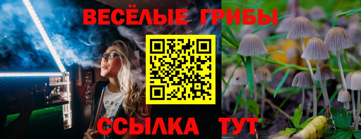 Алатырь  Псилоцибиновые грибы Psilocybine cubensis  Вход с VPN 